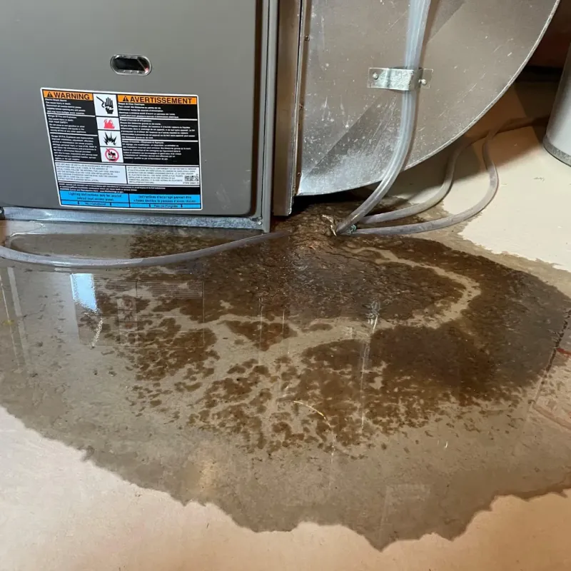 Appliance Leak Cleanup in Airway Heights, WA